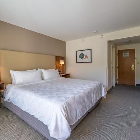 Holiday Inn San Jose La Sabana By Ihg Exteriör bild